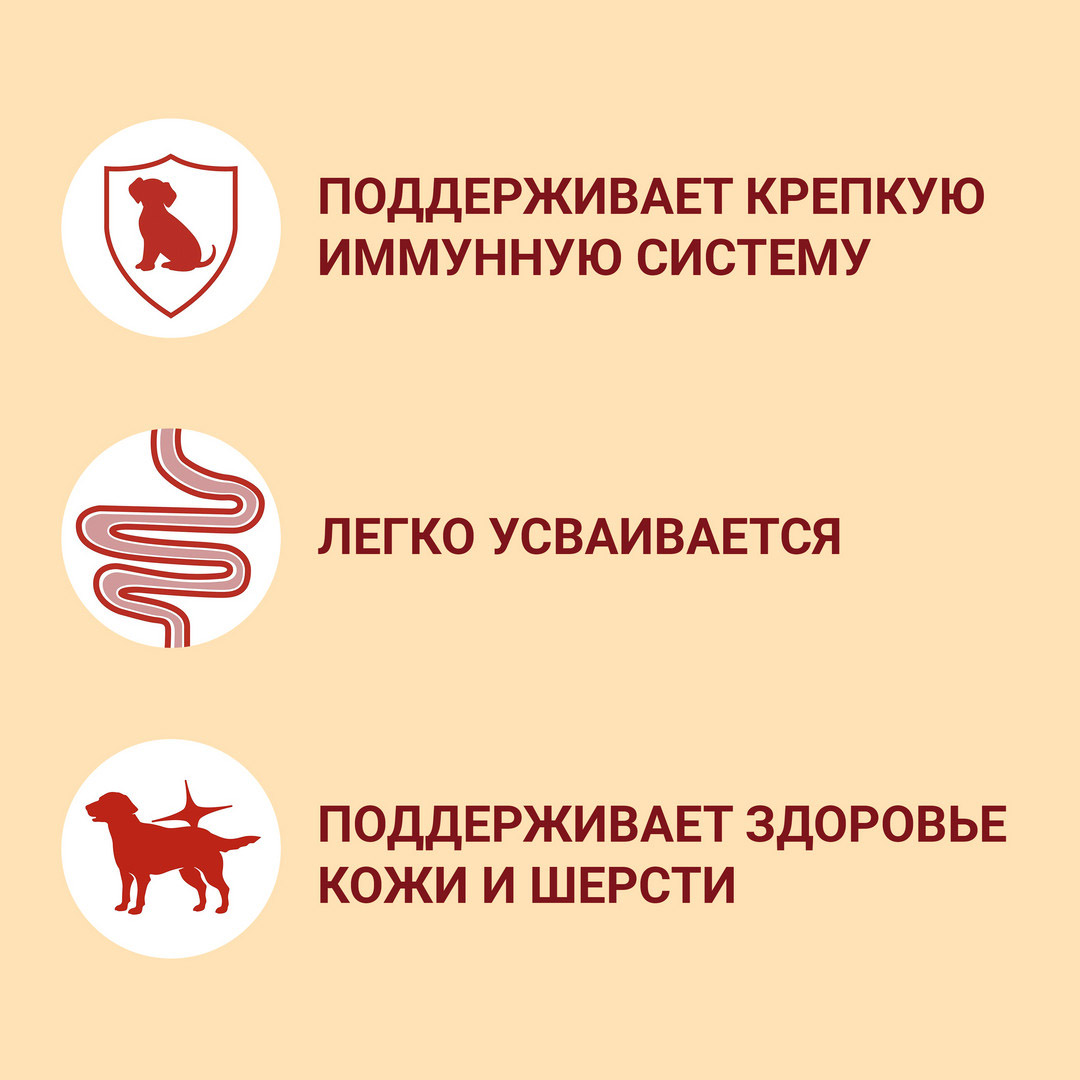 Влажный корм Purina ONE® МИНИ <10 кг Чувствительное пищеварение для собак мелких и карликовых пород с чувствительным пищеварением, с лососем, рисом и морковью в подливе 85 г - фото 8