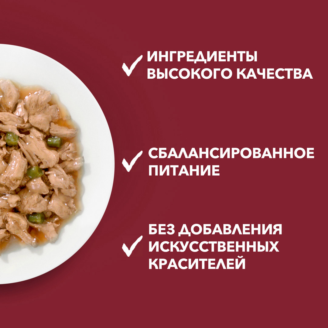 Влажный корм Purina ONE® МИНИ <10 кг Чувствительное пищеварение для собак мелких и карликовых пород с чувствительным пищеварением, с лососем, рисом и морковью в подливе 85 г - фото 13