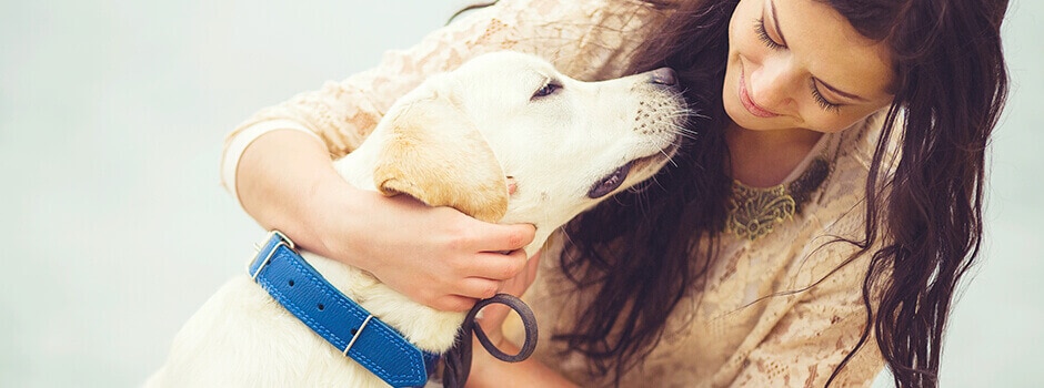 Стерилизация и кастрация собак 🐶, как правильно стерилизовать