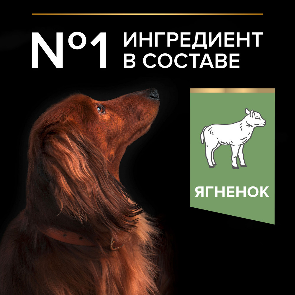 Сухой корм PRO PLAN® для взрослых собак мелких и карликовых пород с чувствительным пищеварением, с высоким содержанием ягненка - фото 4