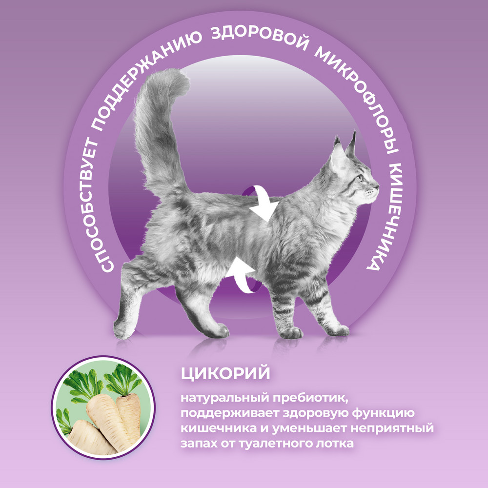 Құрамында үйрек етінің мөлшері жоғары, бауыр қосылған, дәмге ерекше талғампаз мысықтарға арналған Purina ONE® құрғақ азығы - фото 6