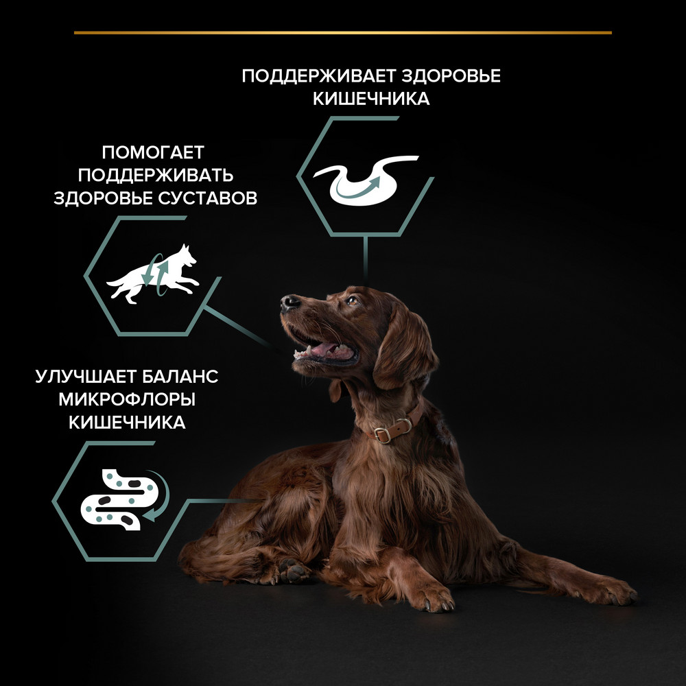 Сухой корм PRO PLAN® для взрослых собак крупных пород с атлетическим телосложением с чувствительным пищеварением, с высоким содержанием ягненка - фото 5