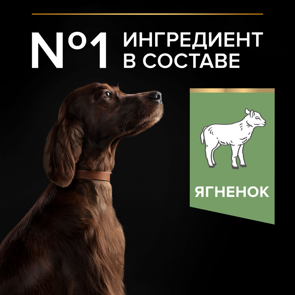 Сухой корм PRO PLAN® для взрослых собак крупных пород с атлетическим телосложением с чувствительным пищеварением, с высоким содержанием ягненка - фото 4