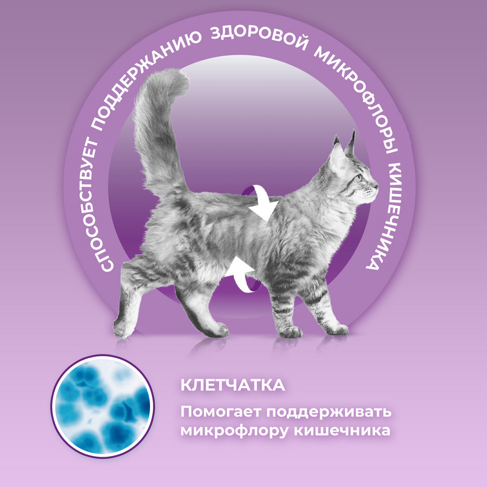Влажный корм Purina ONE® для кошек особенно привередливых к вкусу, индейка и утка высокого качества с морковью, пауч, 75г - фото 6