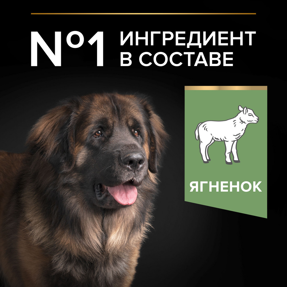 Сухой корм PRO PLAN® для взрослых собак крупных пород с мощным телосложением с чувствительным пищеварением, с высоким содержанием ягненка - фото 5