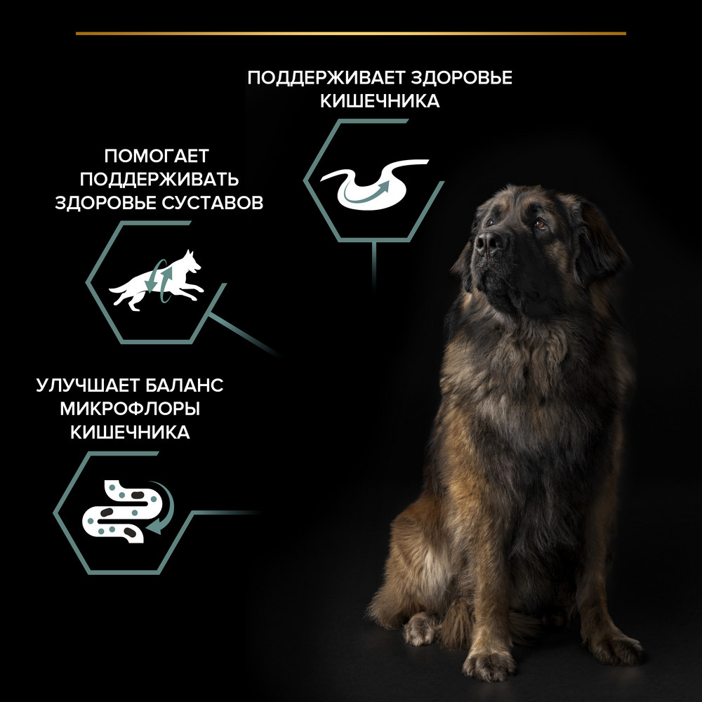 Сухой корм PRO PLAN® для взрослых собак крупных пород с мощным телосложением с чувствительным пищеварением, с высоким содержанием ягненка - фото 6