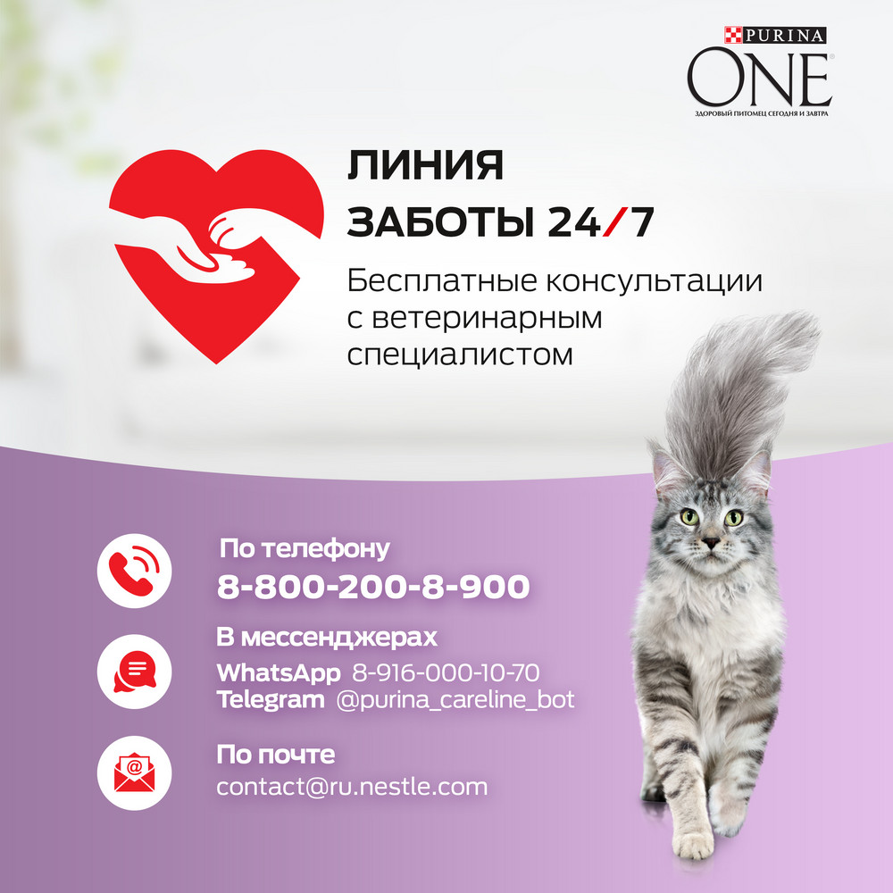 Влажный корм Purina ONE® для кошек особенно привередливых к вкусу, индейка и утка высокого качества с морковью, пауч, 75г - фото 12