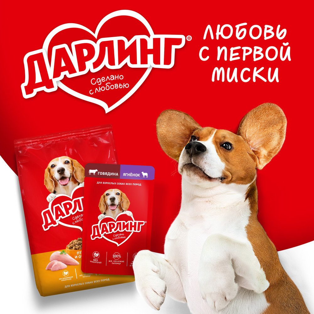 Влажный корм ДАРЛИНГ® для взрослых собак, кусочки с телятиной в подливе - фото 9