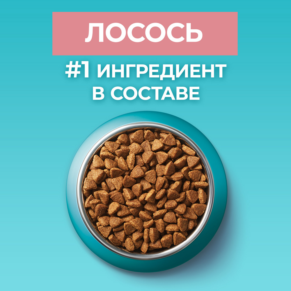 Сухой корм Purina ONE® полнорационный для стерилизованных кошек и кастрированных котов, с высоким содержанием лосося - фото 7