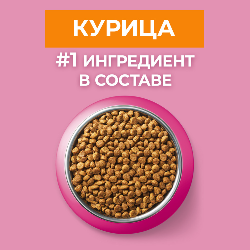 Сухой корм Purina ONE® полнорационный для котят, с высоким содержанием курицы - фото 7