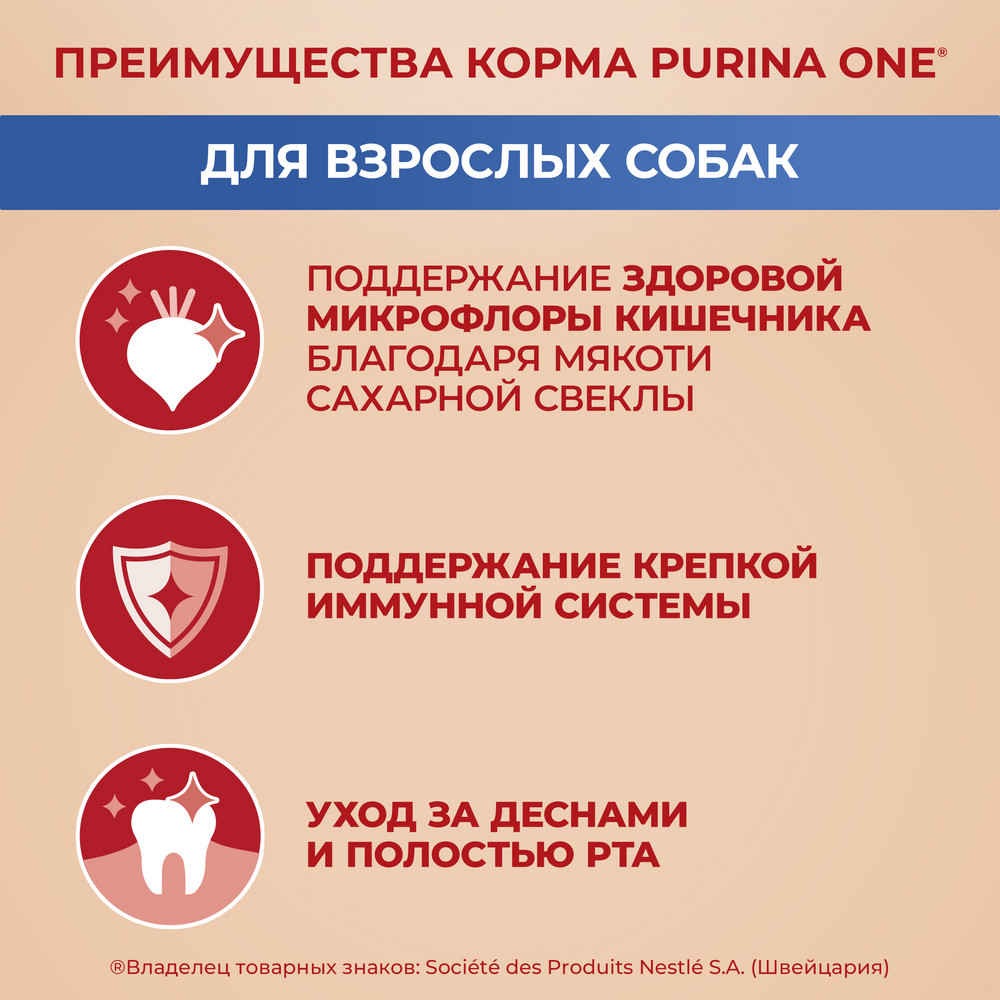 Сухой корм Purina ONE® МИНИ < полнорационный для взрослых собак мелких и карликовых пород, с высоким содержанием говядины и с рисом - фото 6