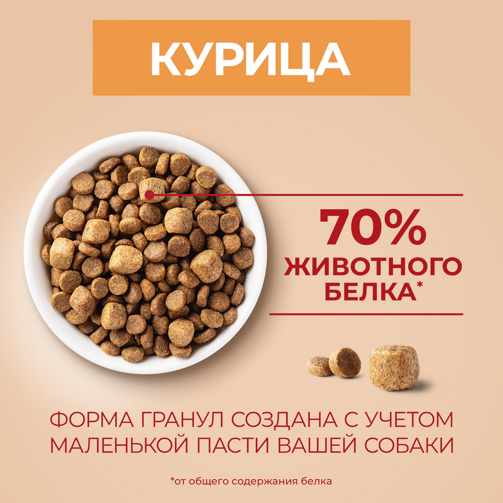 Сухой корм Purina ONE® МИНИ < полнорационный для собак мелких пород с активным образом жизни, с высоким содержанием курицы и с рисом - фото 7