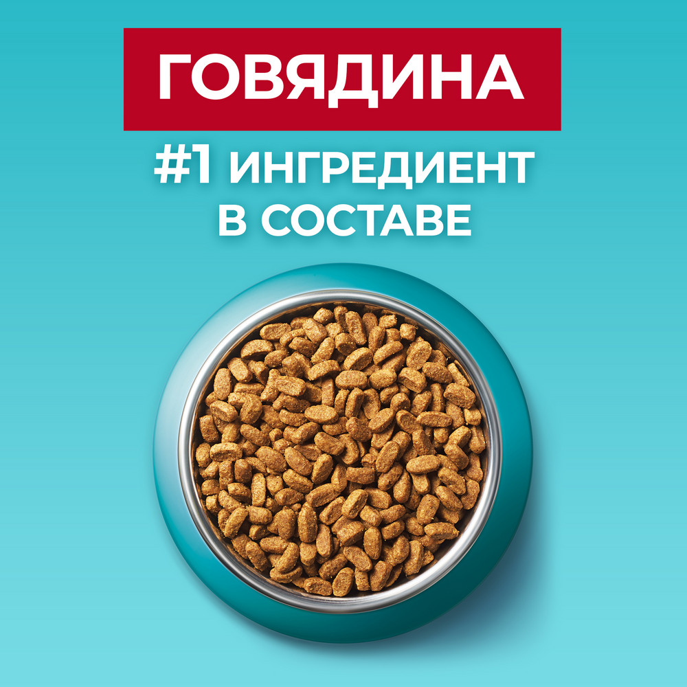 Сухой корм Purina ONE® полнорационный для стерилизованных кошек и кастрированных котов, с высоким содержанием говядины - фото 8