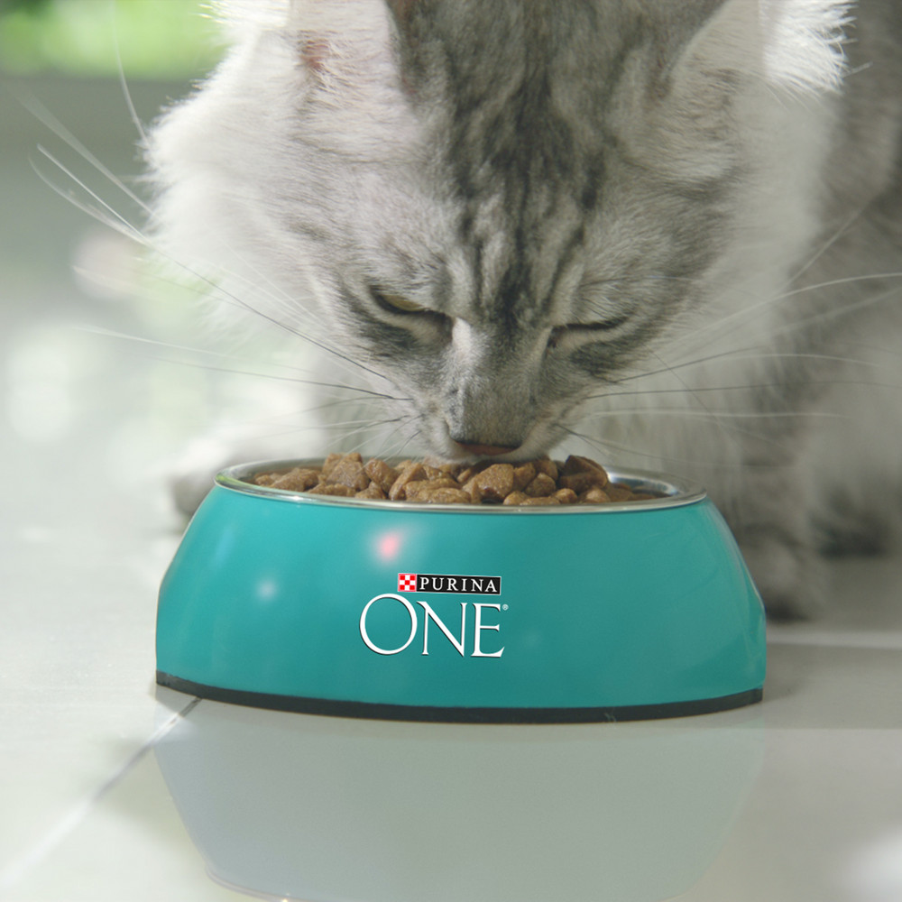 Сухой корм Purina ONE® полнорационный для взрослых кошек, с высоким содержанием курицы - фото 13