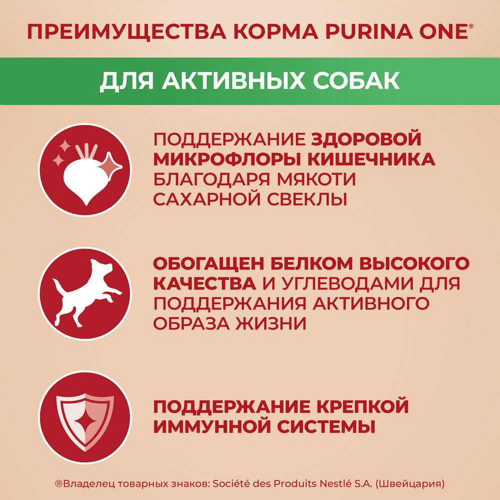 Сухой корм Purina ONE® МИНИ < полнорационный для собак мелких пород с активным образом жизни, с высоким содержанием курицы и с рисом - фото 6
