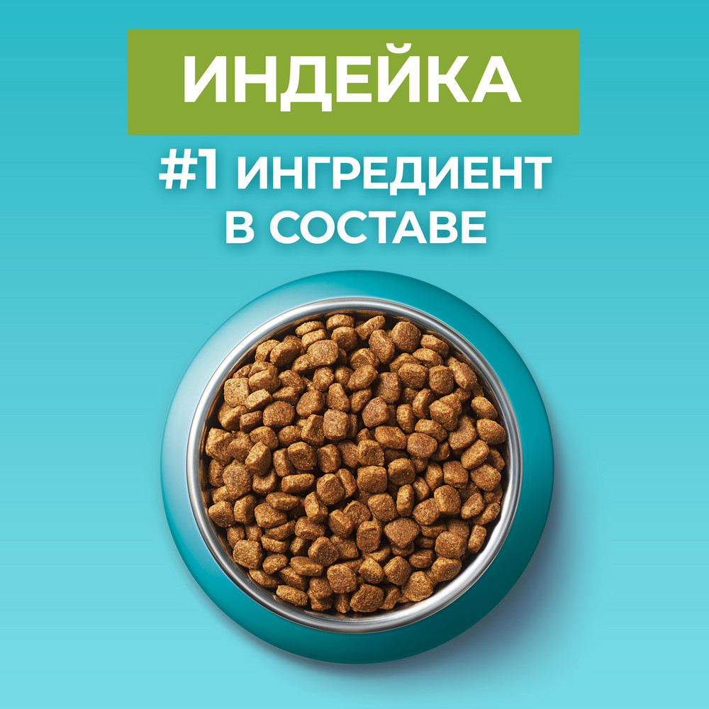 Сухой корм Purina ONE® полнорационный для взрослых кошек с чувствительным пищеварением и разборчивым вкусом в еде, с высоким содержанием индейки - фото 7