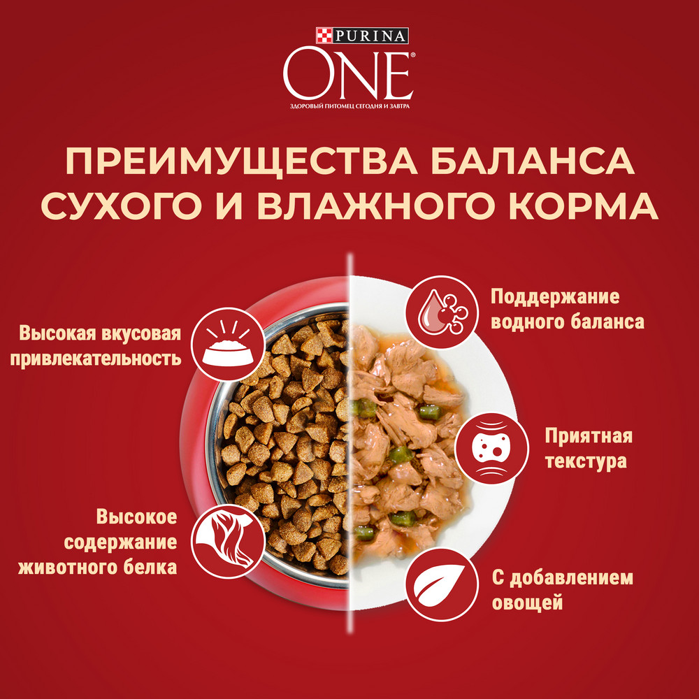 Сухой корм Purina ONE® МИНИ < полнорационный для собак мелких пород с активным образом жизни, с высоким содержанием курицы и с рисом - фото 11