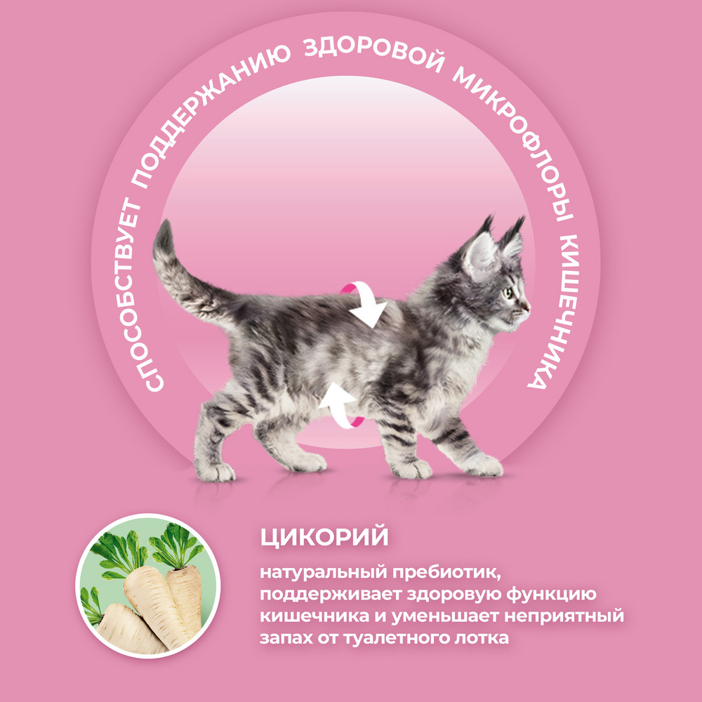 Сухой корм Purina ONE® полнорационный для котят, с высоким содержанием курицы - фото 5