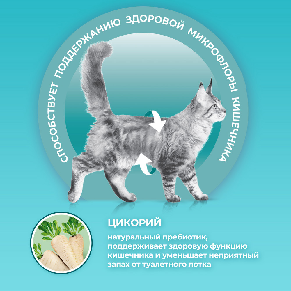 Сухой корм Purina ONE® полнорационный для взрослых кошек, с высоким содержанием курицы - фото 5