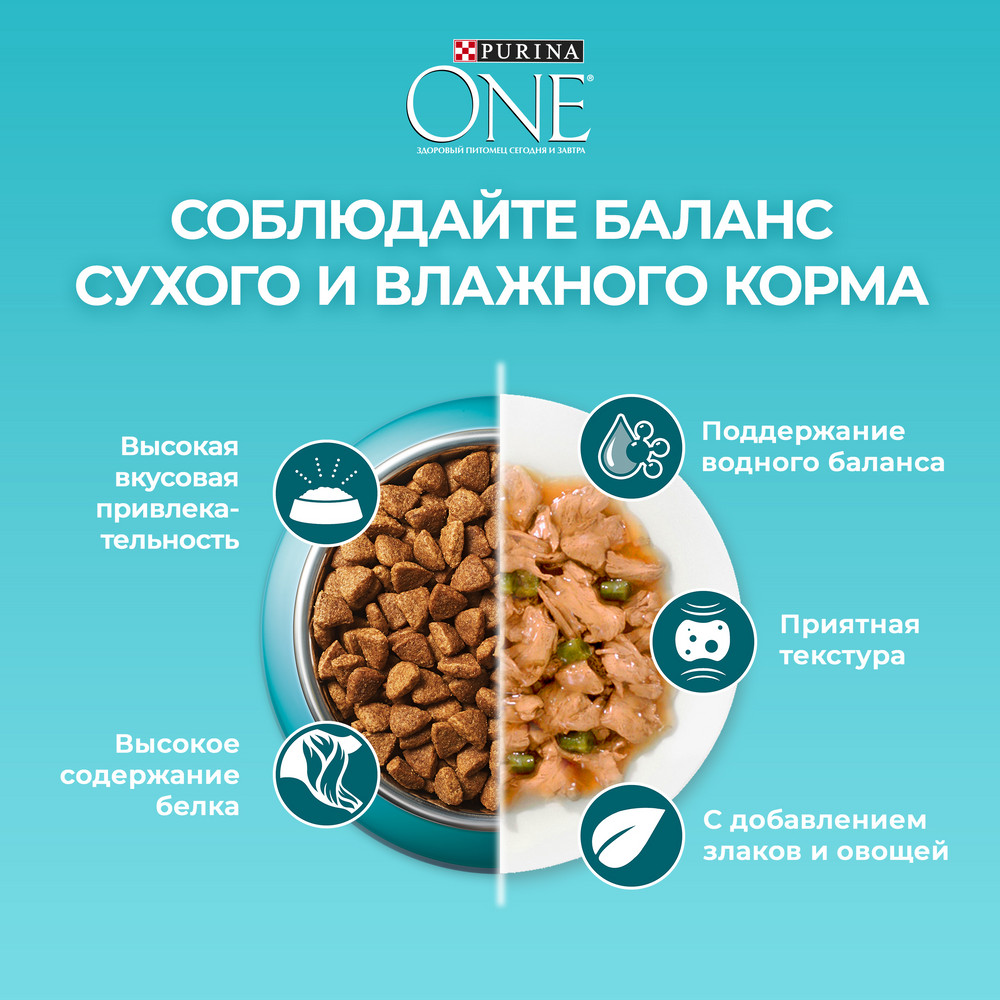 Сухой корм Purina ONE® полнорационный для взрослых кошек, с высоким содержанием курицы - фото 11
