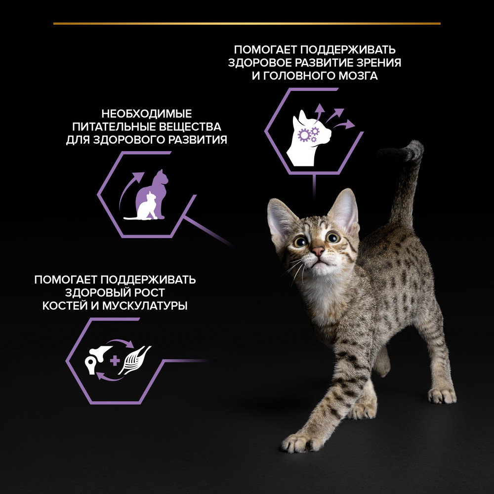 Влажный корм PRO PLAN® Nutri Savour для котят, с говядиной в соусе - фото 7