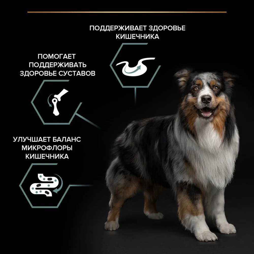 Сухой корм PRO PLAN® для взрослых собак средних пород с чувствительным пищеварением, с высоким содержанием ягненка, Пакет - фото 6