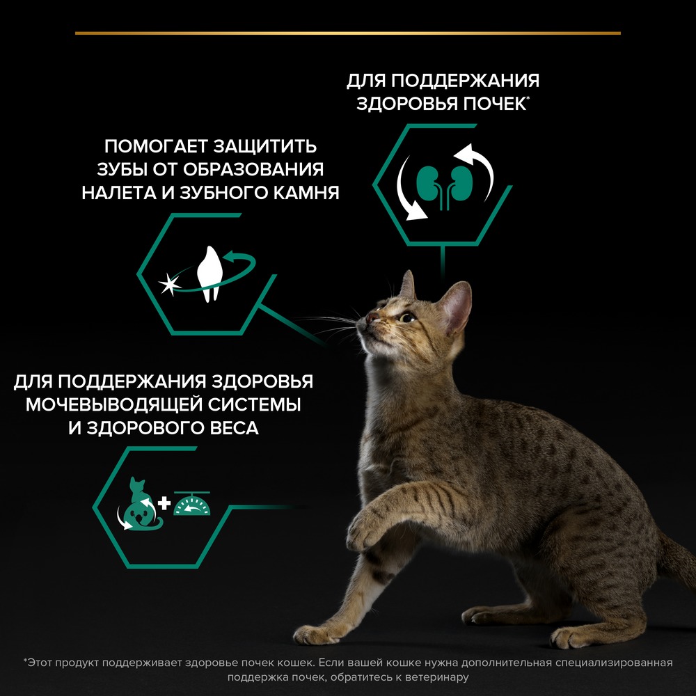 Зарасыздандырылған ұрғашы мысықтар мен піштірілген еркек мысықтарға арналған PRO PLAN® құрғақ азығы, күркетауық етінің жоғары мөлшерімен - фото 14