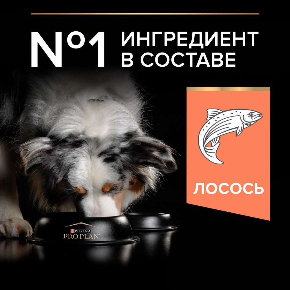 Сухой корм PRO PLAN® для взрослых собак средних пород с чувствительной кожей, с высоким содержанием лосося, Пакет - фото 5