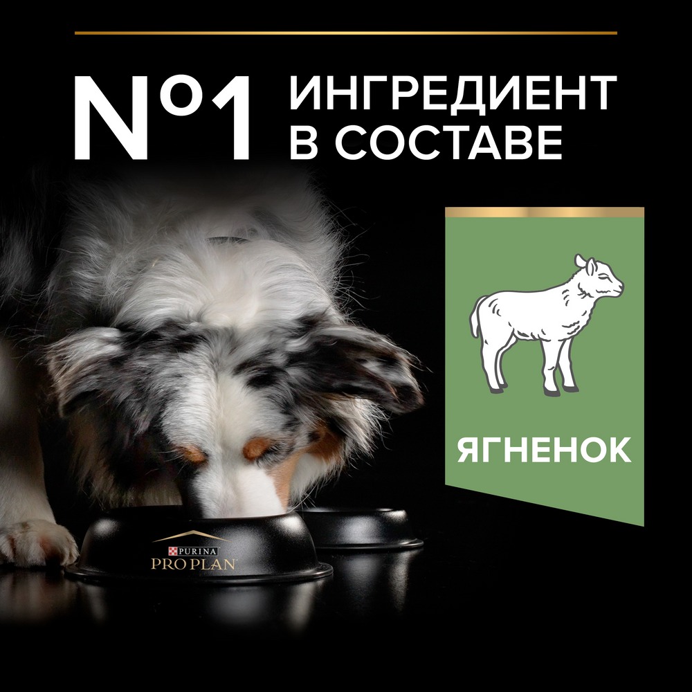 Сухой корм PRO PLAN® для взрослых собак средних пород с чувствительным пищеварением, с высоким содержанием ягненка, Пакет - фото 5