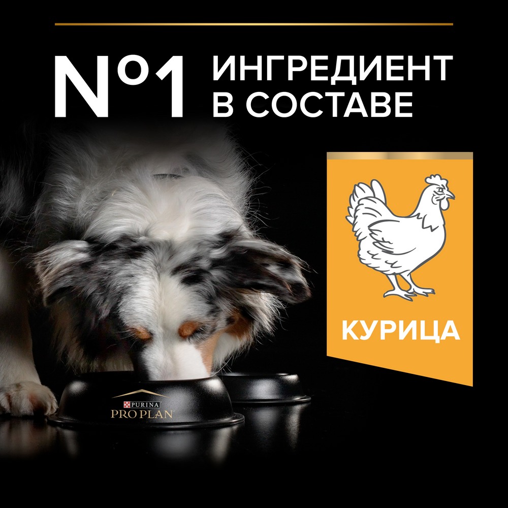 Орта тұқымды ересек иттерге арналған Pro Plan® құрғақ азығы, тауық етінің жоғары мөлшерімен - фото 5