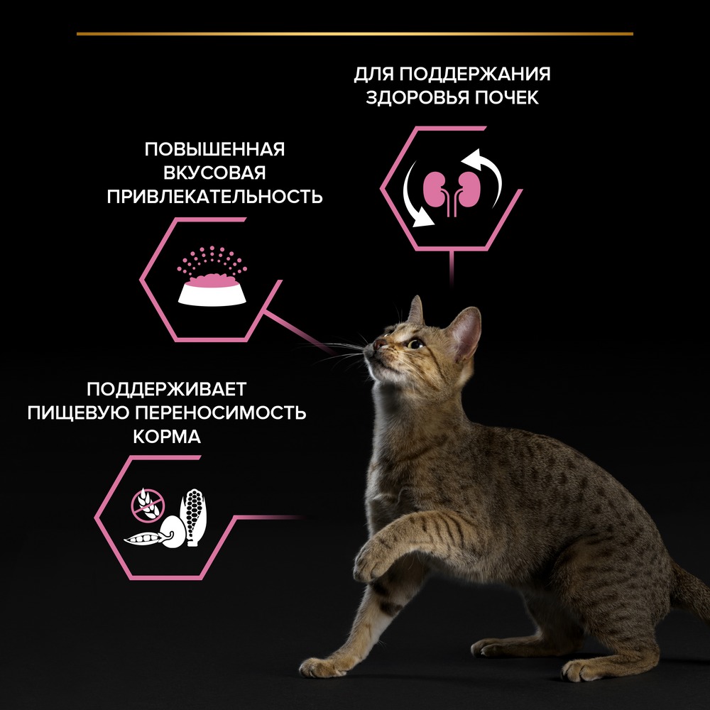 Ас қорытуы жүйесі сезімтал немесе тағамға талғампаз ересек мысықтарға арналған PRO PLAN® құрғақ азығы, күркетауық етінің жоғары мөлшерімен - фото 15