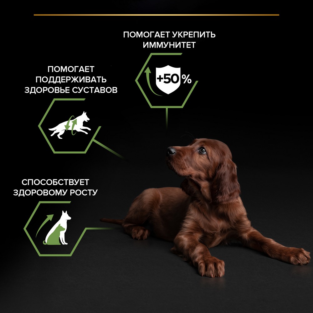 Сухой корм PRO PLAN® для щенков крупных пород с атлетическим телосложением, с высоким содержанием курицы - фото 6