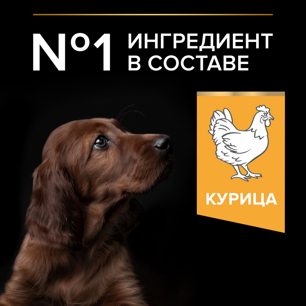 Сухой корм PRO PLAN® для щенков крупных пород с атлетическим телосложением, с высоким содержанием курицы - фото 5