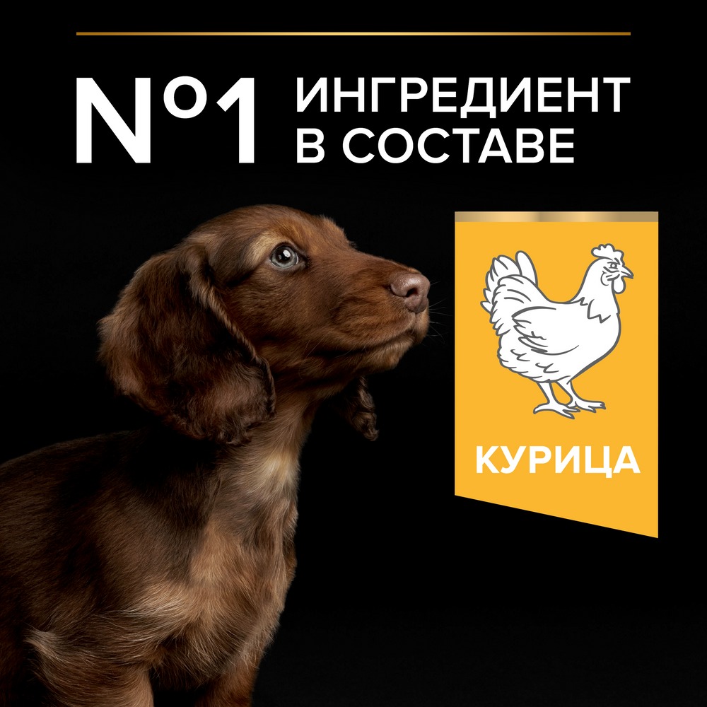 Сухой корм Pro Plan для щенков мелких и карликовых пород, с высоким содержанием курицы - фото 5