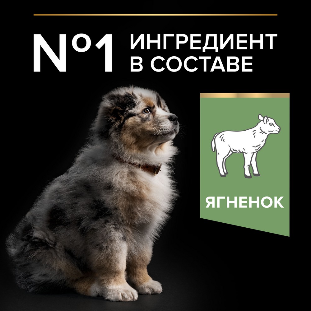 Сухой корм Pro Plan для щенков средних пород с чувствительным пищеварением с комплексом OPTIDIGEST с ягненком и рисом - фото 5