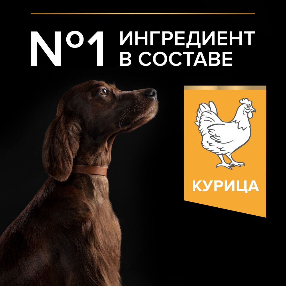 Сухой корм PRO PLAN® для взрослых собак крупных пород с атлетическим телосложением, с высоким содержанием курицы, Пакет - фото 3