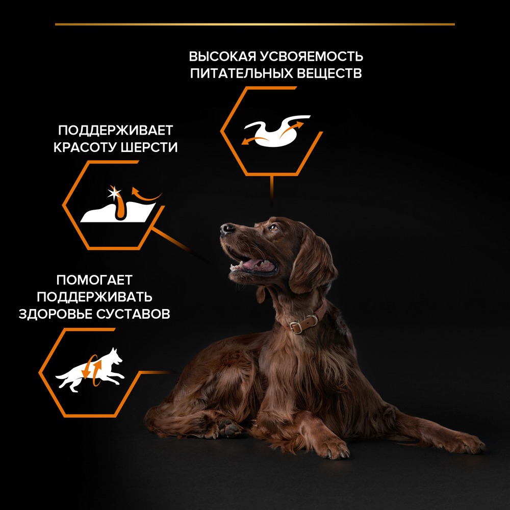Сухой корм PRO PLAN® для взрослых собак крупных пород с атлетическим телосложением, с высоким содержанием курицы, Пакет - фото 4