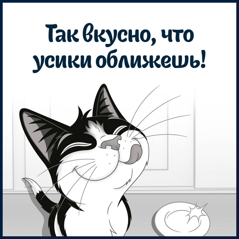 Сиыр еті қосылған ересек мысықтарға арналған FELIX® Етті жеңсік тағамы құрғақ азығы, 600 г - фото 4