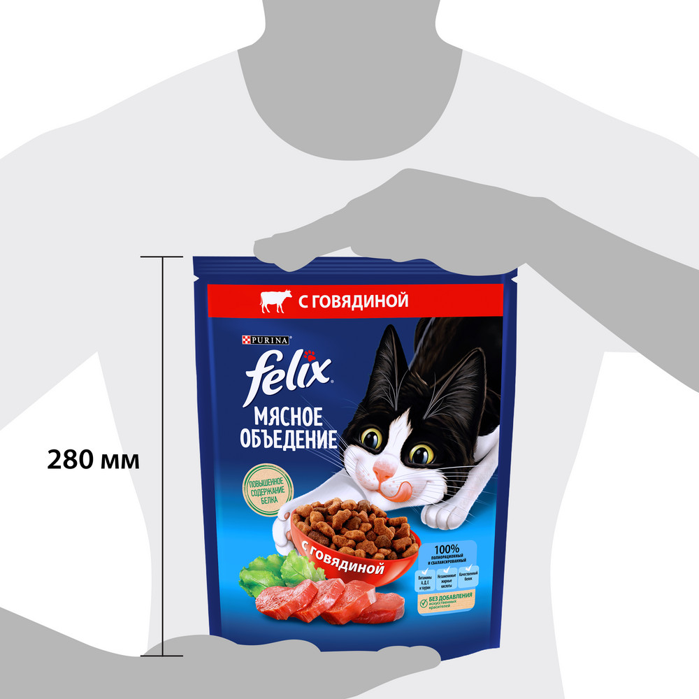 Сиыр еті қосылған ересек мысықтарға арналған FELIX® Етті жеңсік тағамы құрғақ азығы, 600 г - фото 14