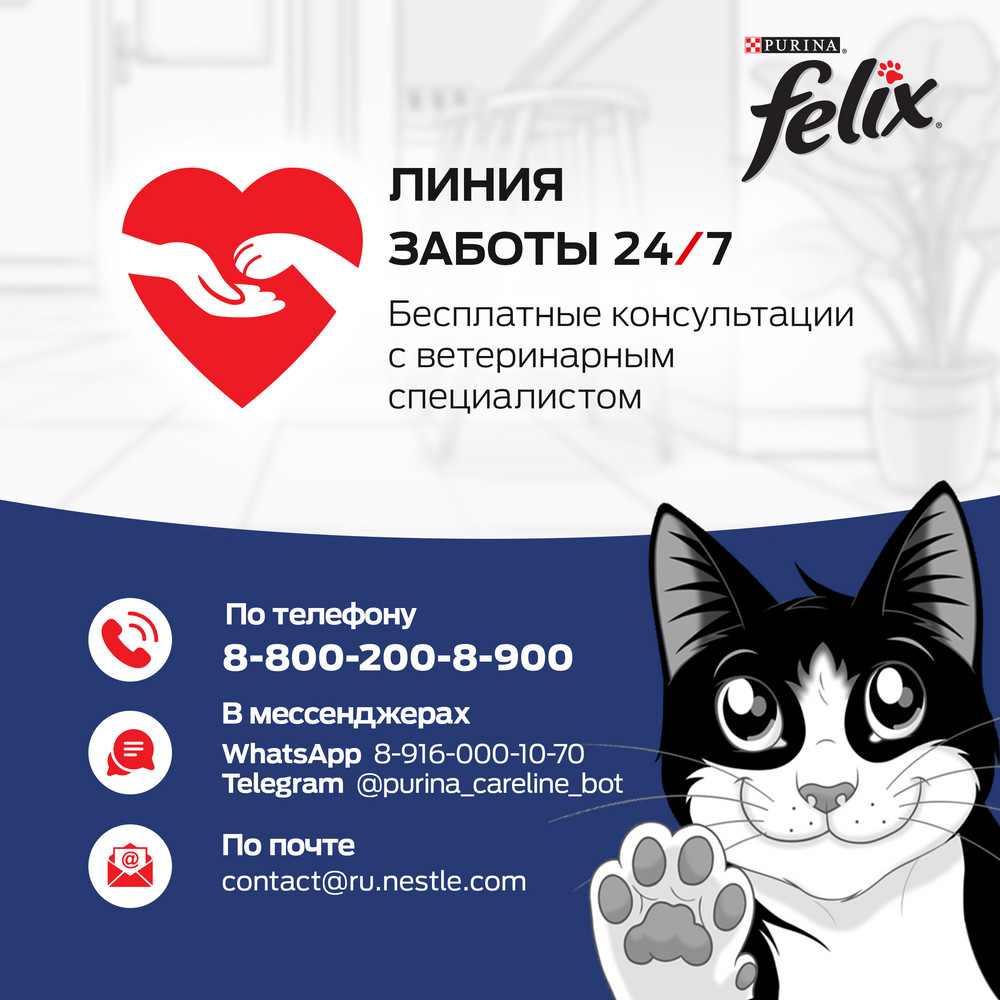 FELIX® Мясные Ломтики, Корм консервированный полнорационный для взрослых кошек, с говядиной 75г - фото 13