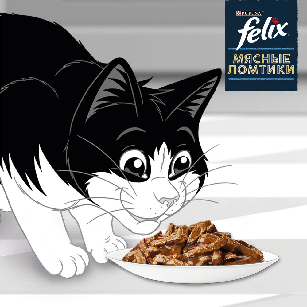 FELIX® Мясные Ломтики, Корм консервированный полнорационный для взрослых кошек, с уткой 75г - фото 14