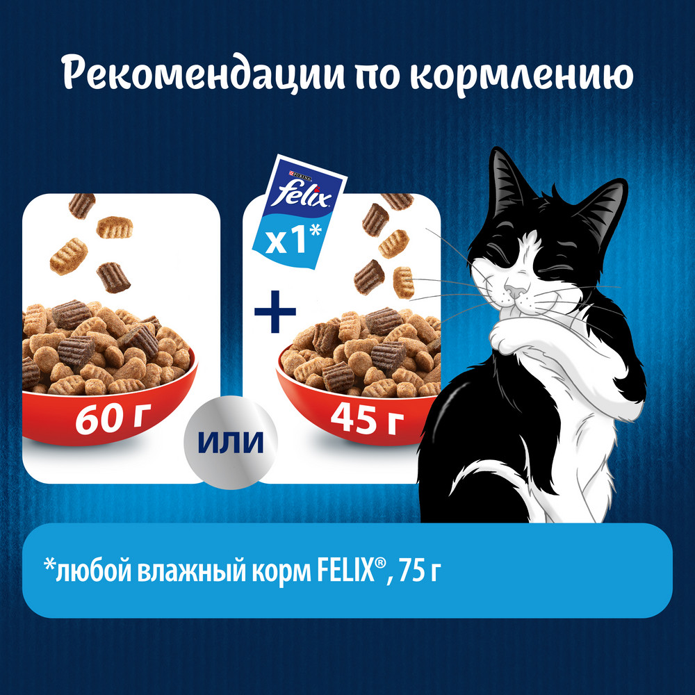 Сухой корм FELIX® Двойная Вкуснятина® для взрослых кошек, с мясом, Пакет, 600 г - фото 7