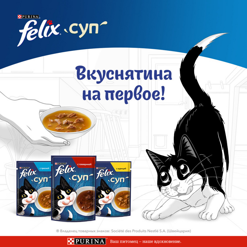 Влажный корм FELIX® Суп для взрослых кошек, с курицей, пауч, 48г - фото 6