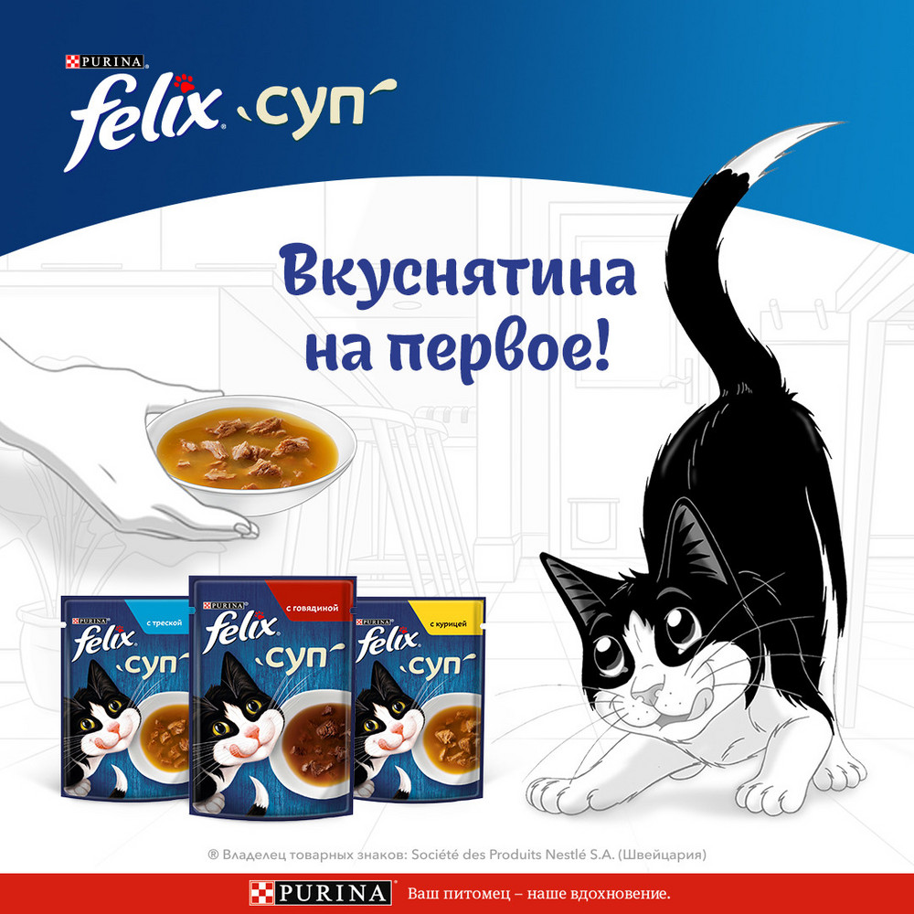 Ересек мысықтарға арналған FELIX® Сорпасы ылғалды азығы, нәліммен, пауч, 48 г - фото 6
