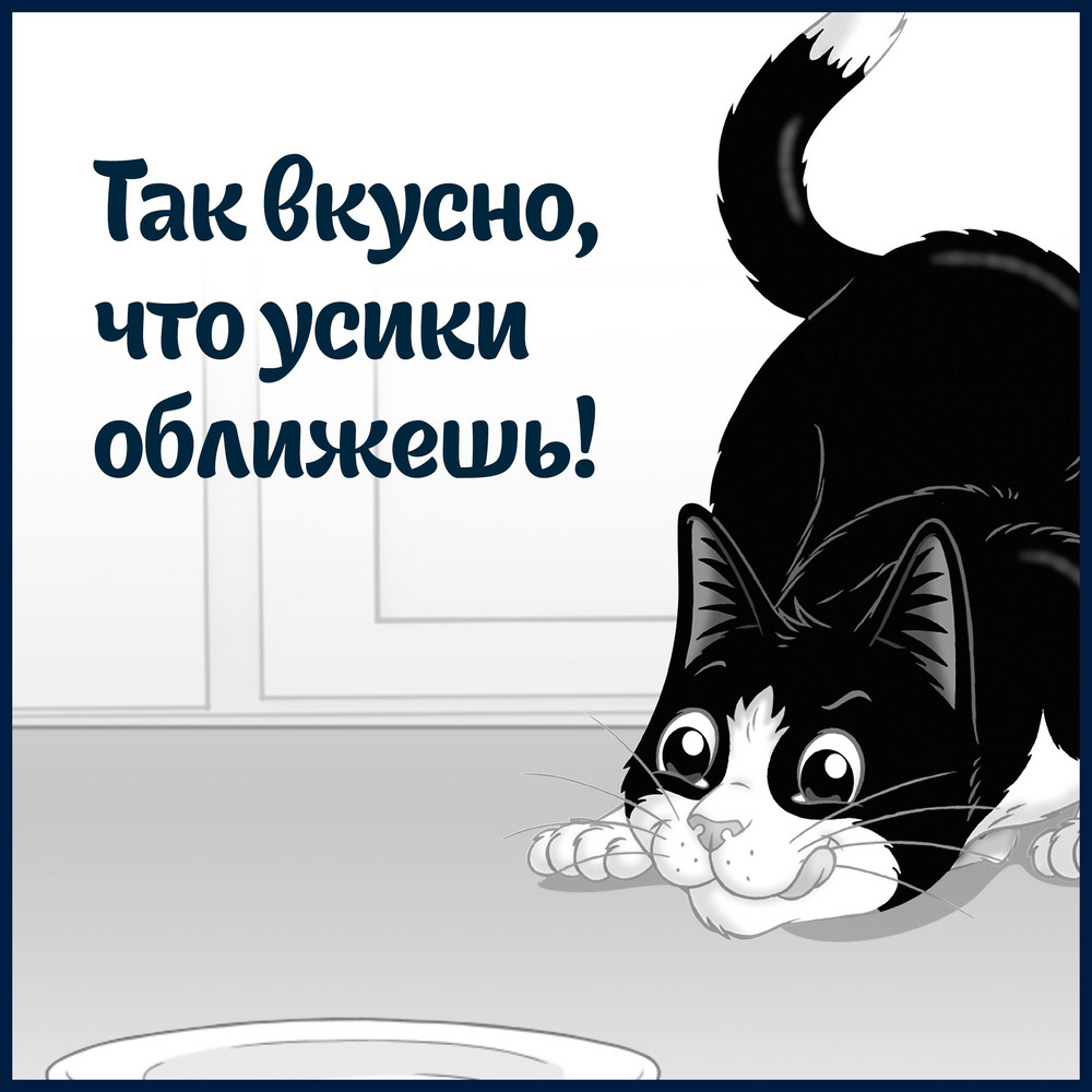 Влажный корм FELIX® Природа вкуса для взрослых кошек, с лососем в соусе 75 г - фото 13