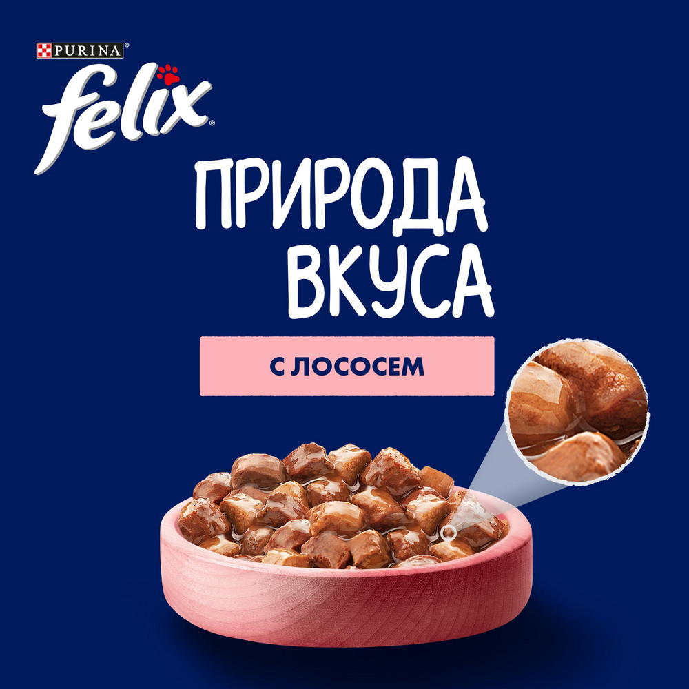 Влажный корм FELIX® Природа вкуса для взрослых кошек, с лососем в соусе 75 г - фото 7