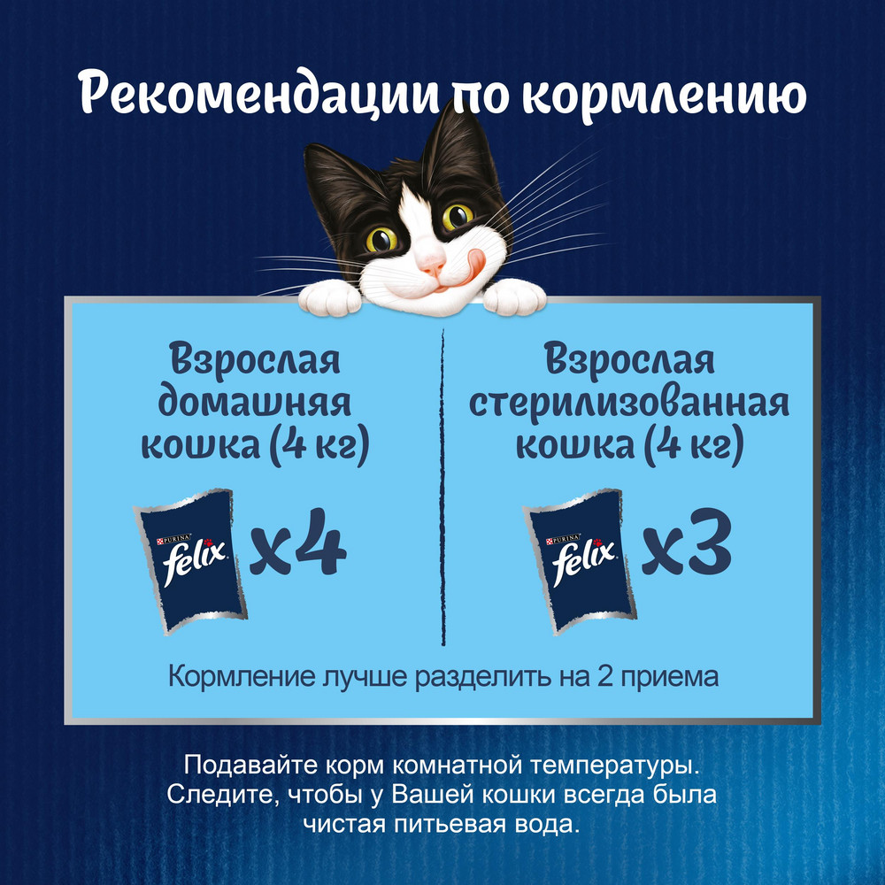 Влажный корм FELIX® Аппетитные кусочки для взрослых кошек, с лососем в желе 75 г - фото 10