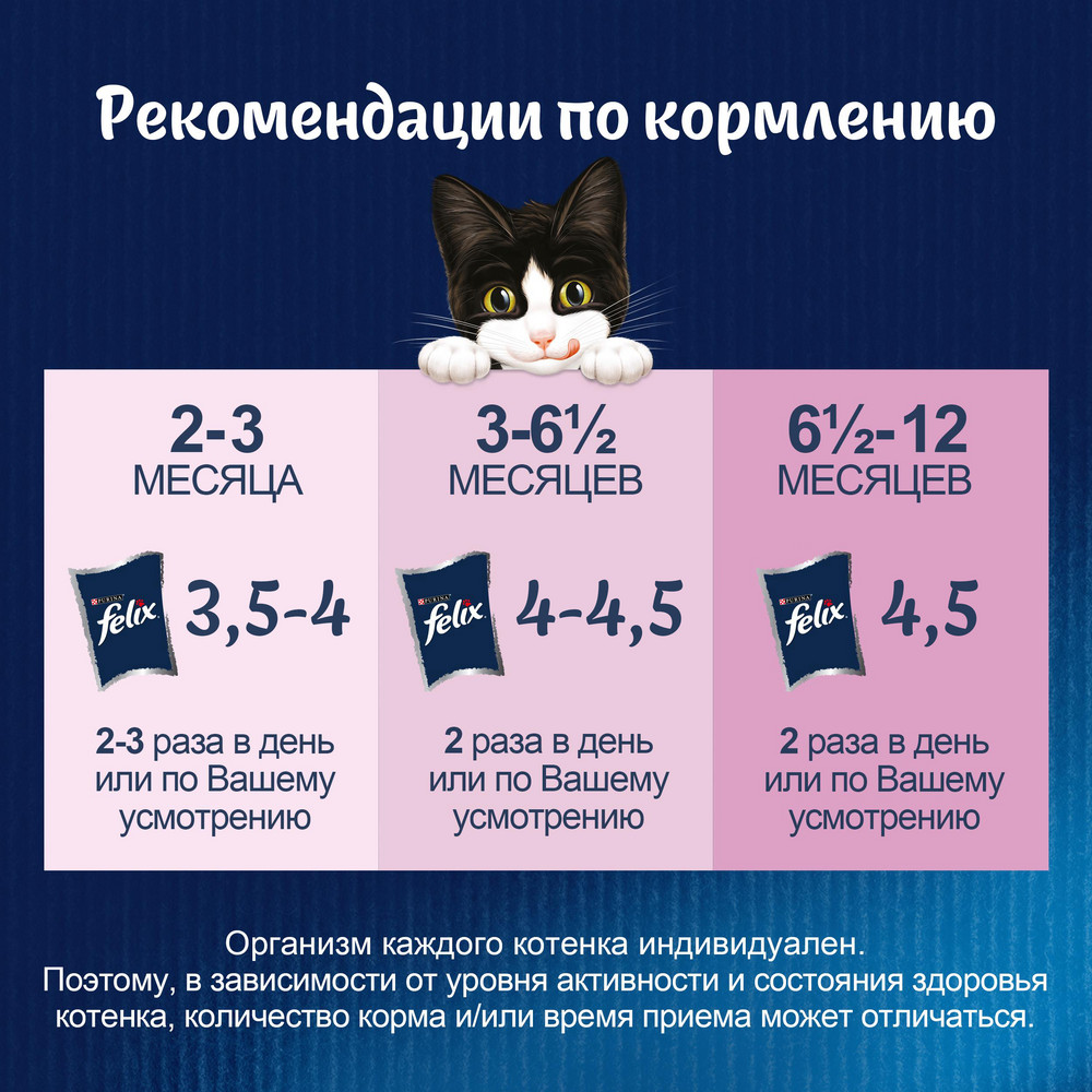 Влажный корм FELIX® Аппетитные кусочки для котят, с курицей в желе 75 г - фото 10