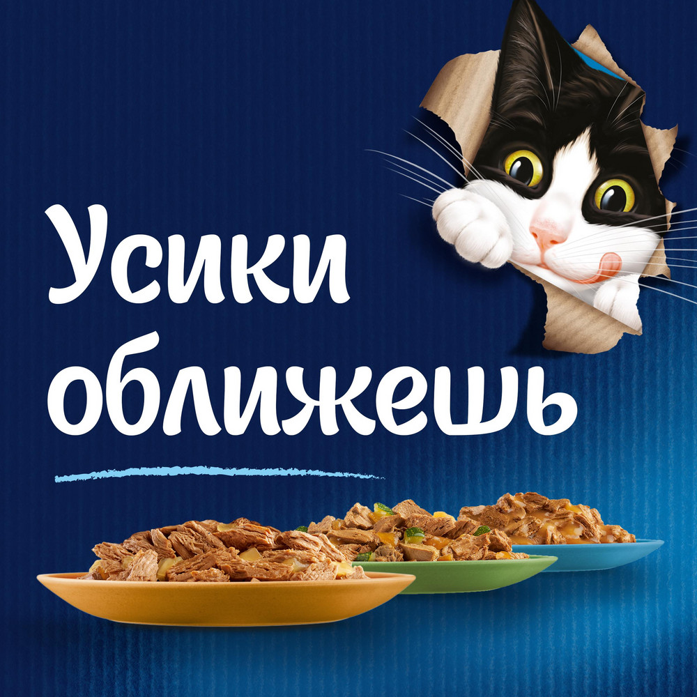 Влажный корм FELIX® Sensations для взрослых кошек, с говядиной в желе с томатами 75 г - фото 6