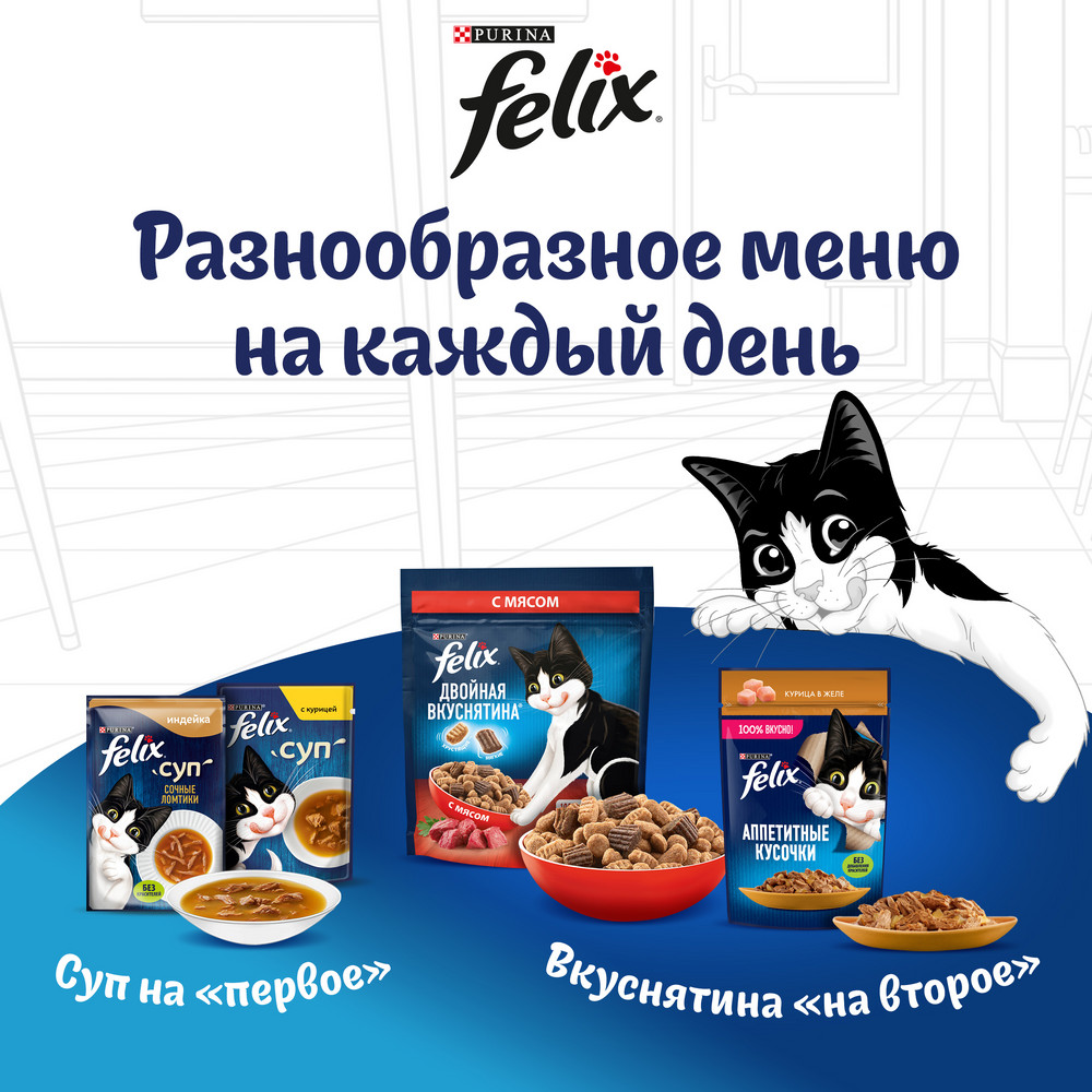 Ересек мысықтарға арналған FELIX® Дәмді тілімдер, Қос дәмділік ылғалды азығы, желедегі қозы еті және тауық етімен, 75 г - фото 15